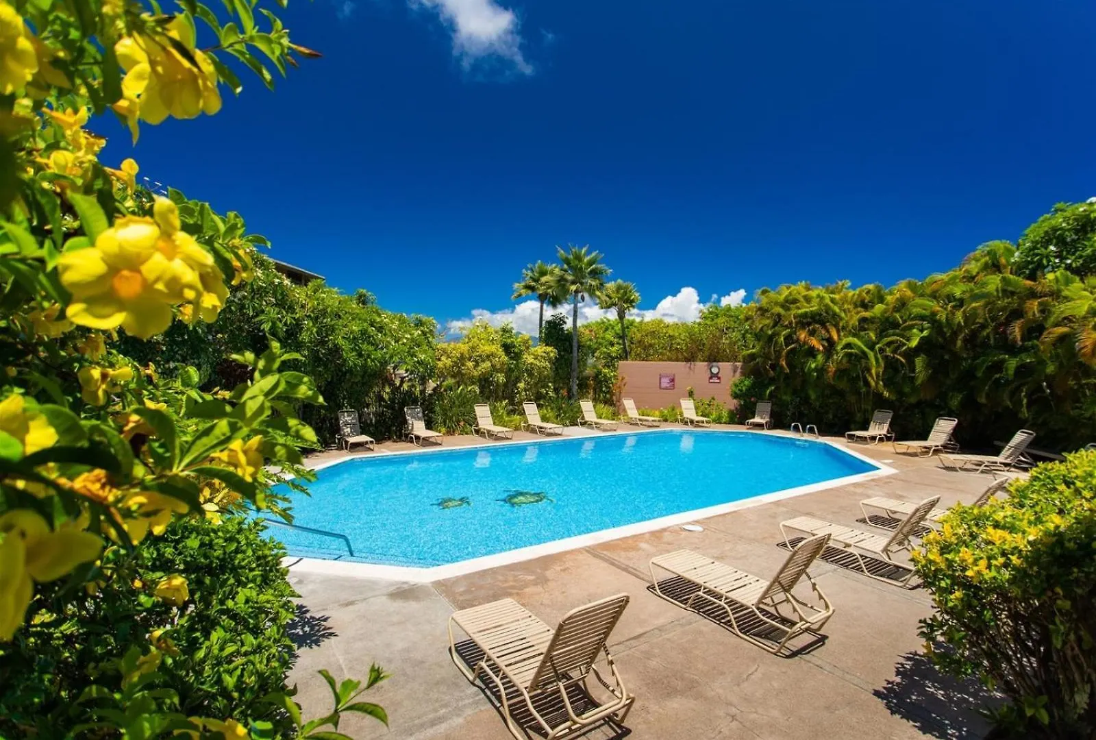 Apartment 2723-24 Kapalua Ridge Villa Kahana United States